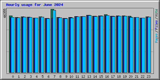 Hourly usage for June 2024